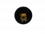 619.016.210CO-3